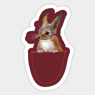 squirrel in your pocket Sticker